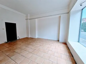 Pronájem komerční nemovitosti, Ústí nad Labem - Ústí nad Labem-centrum, Masarykova, 40 m2