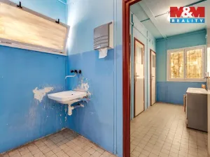 Prodej obchodního prostoru, Příbram - Příbram I, Gen. R. Tesaříka, 511 m2