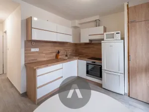 Prodej bytu 1+1, Brno, Horácké náměstí, 45 m2