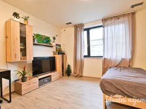 Pronájem bytu 1+kk, Brno - Židenice, Gajdošova, 34 m2
