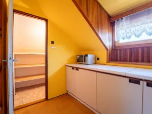 Prodej vícegeneračního domu, Veltruby, Nová, 340 m2
