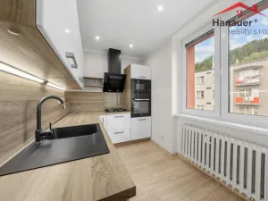 Prodej bytu 3+1, Děčín - Děčín II-Nové Město, Kamenická, 65 m2