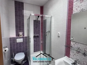 Pronájem bytu 1+kk, Kroměříž, Oskol, 25 m2