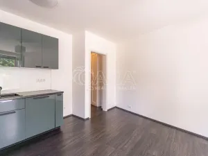 Prodej bytu 3+kk, Praha - Žižkov, Olgy Havlové, 71 m2