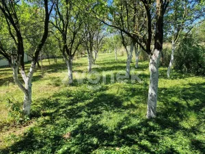 Prodej rodinného domu, Uherský Brod - Těšov, Dr. Horáka, 130 m2