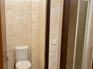 Pronájem bytu 2+kk, Rynholec, 70 m2