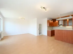 Pronájem bytu 2+kk, Vestec, U Strouhy, 62 m2