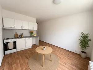 Pronájem bytu 1+1, Litvínov, Školní, 35 m2