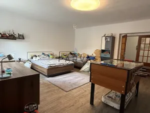 Prodej rodinného domu, Přeštice, Poděbradova, 512 m2