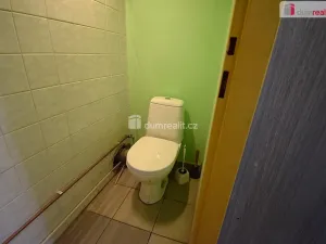 Pronájem obchodního prostoru, Kralupy nad Vltavou, Přemyslova, 56 m2