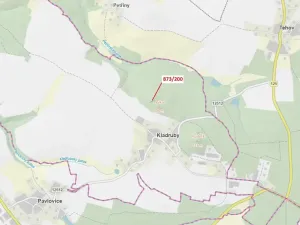 Dražba lesa, Kladruby, 189 m2