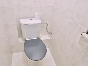Pronájem bytu 1+1, Brno, Rybníček, 54 m2