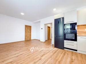 Pronájem bytu 3+kk, Znojmo, Větrná, 75 m2