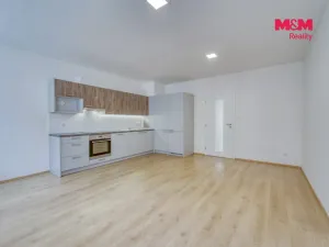Pronájem bytu 2+kk, Plzeň - Jižní Předměstí, Karlova, 52 m2