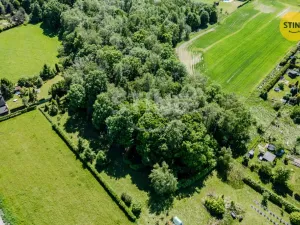 Prodej lesa, Orlová - Lutyně, 1028 m2