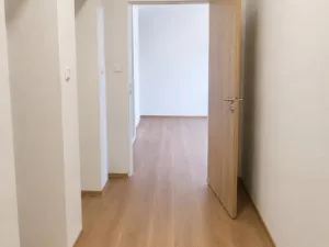 Pronájem bytu 1+kk, Ostrava - Přívoz, Křišťanova, 43 m2