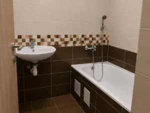 Pronájem bytu 1+kk, Ostrava - Přívoz, Křišťanova, 43 m2