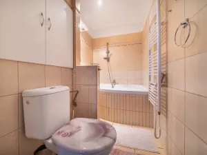 Prodej bytu 3+1, Dobřany, 17. listopadu, 62 m2