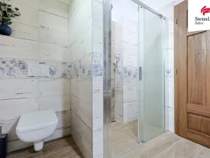 Prodej rodinného domu, Nebílovy, 223 m2