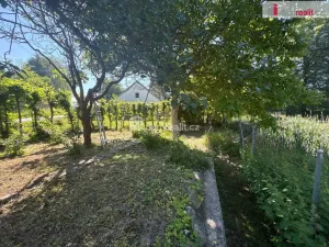 Prodej ubytování, Bor - Ostrov, 390 m2