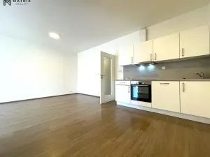 Pronájem bytu 2+kk, Praha - Libeň, U Rokytky, 76 m2
