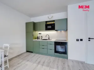 Prodej bytu 1+kk, Železná Ruda - Špičák, 49 m2
