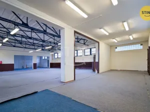 Prodej skladu, Hodonín, Brandlova, 250 m2