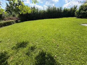 Prodej chaty, Úštěk - Habřina, Habřinská stráň, 64 m2