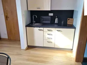 Pronájem bytu 1+kk, Břehov, 32 m2
