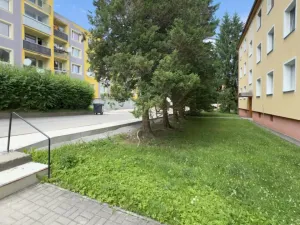 Prodej bytu 1+kk, Nový Bor, Riegrova, 32 m2