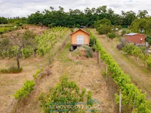 Prodej chaty, Dobšice, K Hájku, 40 m2