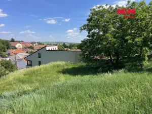 Prodej pozemku pro bydlení, Holubice, 7245 m2