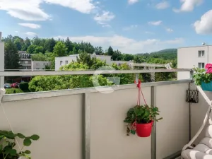 Prodej bytu 3+1, Zlín - Mladcová, Mokrá I, 62 m2