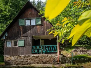Prodej chaty, Dolní Dvořiště, 50 m2