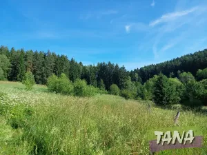 Prodej rodinného domu, Mostek, 80 m2
