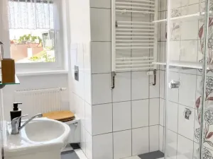 Pronájem bytu 2+1, Plzeň, Tělocvičná, 55 m2