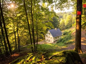 Prodej chalupy, Liberec - Liberec XIV-Ruprechtice, Dračí, 153 m2