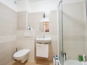 Pronájem bytu 1+kk, Olomouc, Schweitzerova, 24 m2