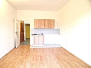 Pronájem bytu 1+kk, Olešná, 21 m2