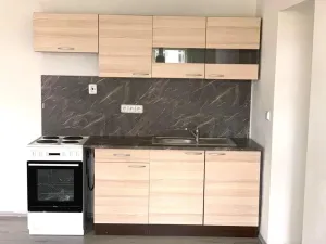 Pronájem bytu 2+kk, Plzeň - Malesice, Malesická náves, 56 m2