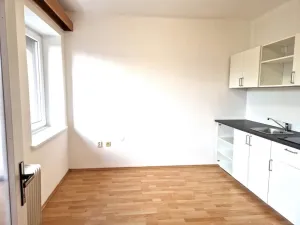 Pronájem bytu 2+kk, Olešná, 32 m2