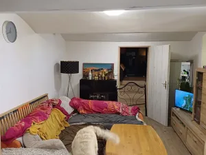 Prodej bytu 1+kk, Říčany, Rooseveltova, 47 m2