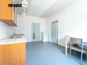Prodej komerční nemovitosti, Kolín, Havlíčkova, 465 m2