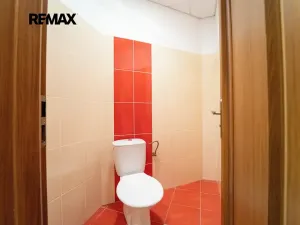 Prodej komerční nemovitosti, Kolín, Havlíčkova, 465 m2