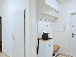 Pronájem bytu 3+kk, Brno, Dusíkova, 87 m2