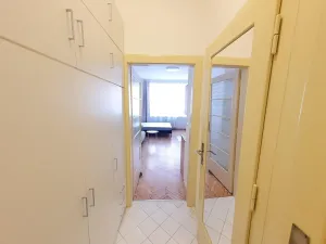 Pronájem bytu 1+kk, Praha - Vinohrady, Mikovcova, 30 m2