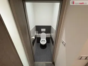 Pronájem bytu 3+kk, Město Touškov, Čemínská, 55 m2