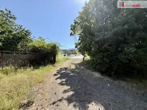 Pronájem zahrady, Odolena Voda, Velkoveská, 5135 m2