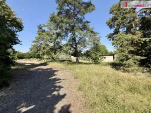 Pronájem zahrady, Odolena Voda, Velkoveská, 5135 m2