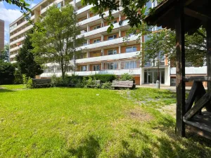Pronájem bytu 2+kk, Olomouc - Neředín, Politických vězňů, 37 m2